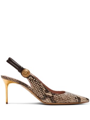 Balmain Alma 75mm snakeskin leather pumps - Brown