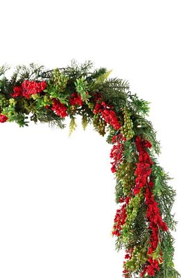 Balsam Hill 10-Foot Outdoor Pre-Lit Berry Burst Garland in Led Clear
