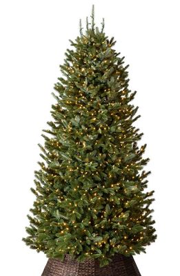 Balsam Hill Artificial Lighted Narrow Fraser Fir Tree in Candlelight Clear Led