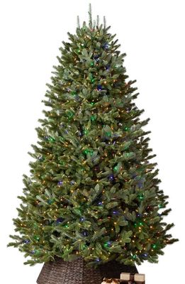 Balsam Hill BH Fraser Fir Pre-lit Artificial Tree in Color And Clear Led