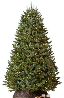 Balsam Hill BH Fraser Fir Pre-Lit Artificial Tree in Led Clear