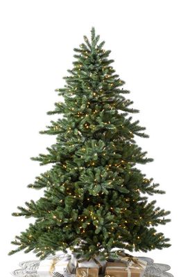 Balsam Hill Biltmore Spruce Pre-lit Artificial Tree in Led Clear