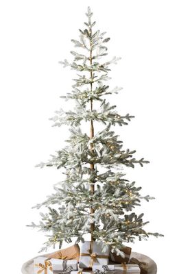 Balsam Hill Frosted Alpine Balsam Fir Pre-Lit Artificial Tree in Led Fairy Lights