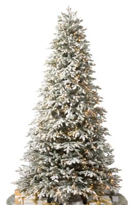 Balsam Hill Frosted Fraser Fir Pre-Lit Artificial Tree in Led Clear