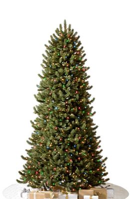Balsam Hill Vermont White Spruce Narrow Pre-Lit Artificial Tree in Color And Clear Led