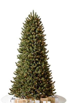 Balsam Hill Vermont White Spruce Narrow Pre-Lit Artificial Tree in Led Clear