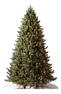 Balsam Hill Vermont White Spruce Pre-Lit Artificial Tree in Color And Clear Led