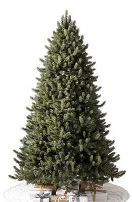 Balsam Hill Vermont White Spruce Pre-Lit Artificial Tree in Unlit