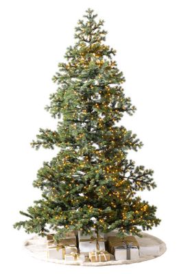 Balsam Hill Yukon Spruce Pre-Lit Artificial Tree in Led Micro