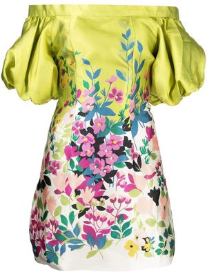 Bambah Garden floral print dress - Green