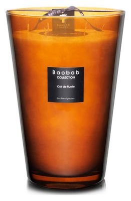 Baobab Collection Les Prestigieuses Cuir de Russie Candle in Brown-Extra Large