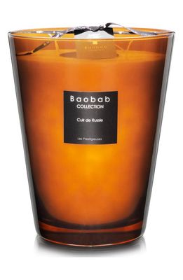 Baobab Collection Les Prestigieuses Cuir de Russie Candle in Brown-Large