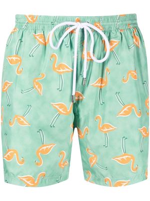 Barba flamingo-print swimming shorts - Green