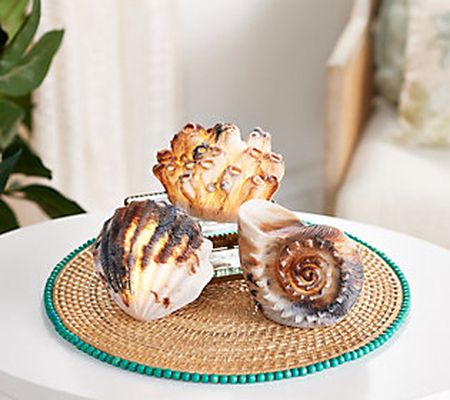 Barbara King Set of 3 Mini Sandstone Seashells Collection