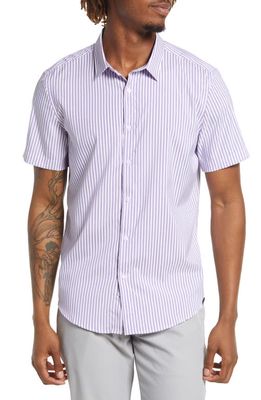 Barbell Apparel Motive Stripe Short Sleeve Stretch Button-Up Performance Shirt in Purple Stripe