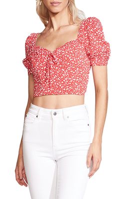 Bardot Ditsy Floral Crop Top in Red Floral