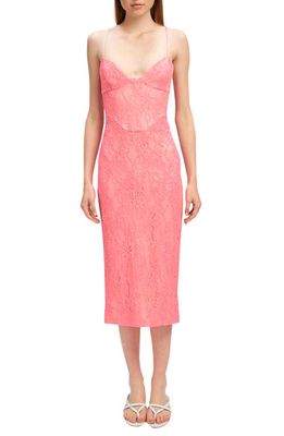 Bardot Hadley Lace Midi Dress in Petal Pink