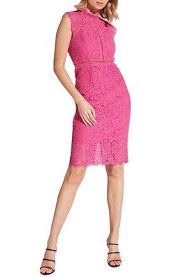 Bardot Lace Sheath Cocktail Dress in Pink Shock