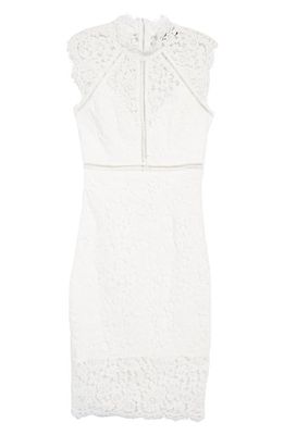 Bardot Lace Sheath Dress in Orchid White