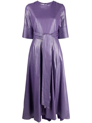 Baruni Danica flared maxi dress - Purple