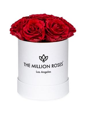 Basic Box Collection Roses In Round Box - Red