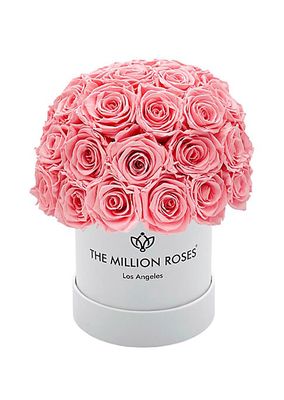 Basic Pink Roses Superdome Box