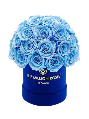 Basic Roses In Royal Blue Suede Superdome Box - Light Blue
