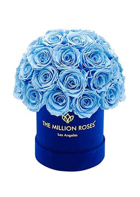 Basic Roses In Royal Blue Suede Superdome Box