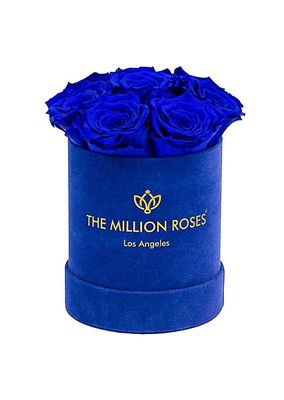 Basic Royal Blue Roses in Suede Box