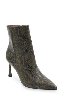 bcbg Pia Pointed Toe Bootie in Green Snake