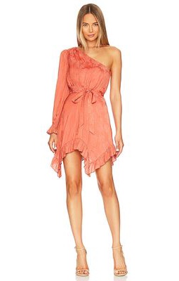 BCBGMAXAZRIA Floral Jacquard Short Evening Dress in Rust