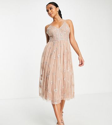 Beauut Petite Bridesmaid delicate embellished midi dress with tulle skirt in taupe-Neutral