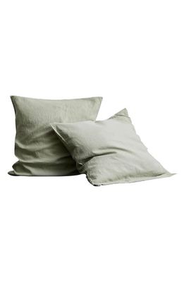 Bed Threads Set of 2 French Linen Euro Pillowcases in Sage