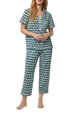 BedHead Pajamas Print Crop Organic Cotton Pajamas in Snail