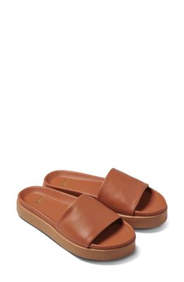 Beek Chick Platform Slide Sandal in Tan/Tan 