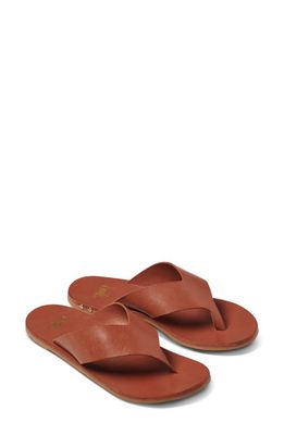 Beek Pip Flip Flop in Tan/Tan 