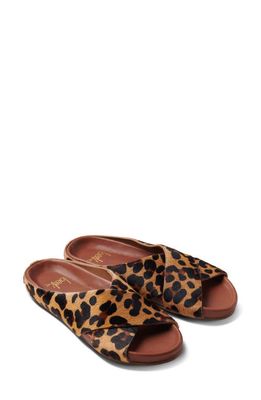 Beek Robin Genuine Calf Hair Slide Sandal in Leopard