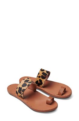 Beek Sibia Genuine Calf Hair Toe Loop Sandal in Tan/Leopard