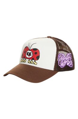 Beepy Bella Ladybug Trucket Hat in Brown