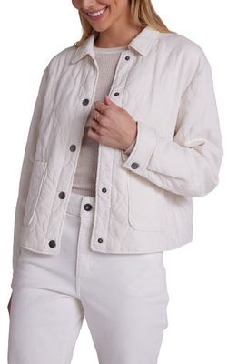 Bella Dahl Crop Quilted Jacket in Winter White