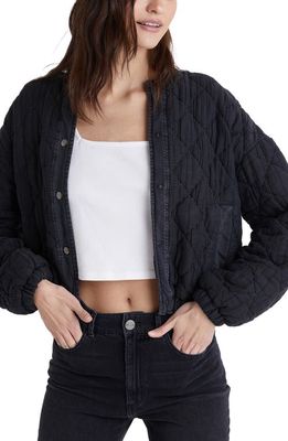 Bella Dahl Quilted Bomber Jacket in Night Shade