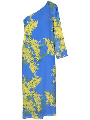 Bernadette Lola floral-print maxi dress - Blue