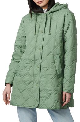 Bernardo Hooded Quilted Liner Jacket in Hedge Green