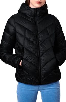 Bernardo Short Hooded Puffer Jacket in Black