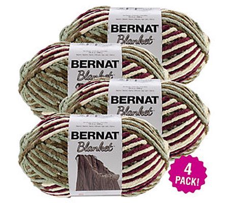 Bernat Blanket Multipack of 4 Plum Fields Big B all Yarn