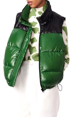 BERNIE Shiny Water Resistant Puffer Vest in Green Black