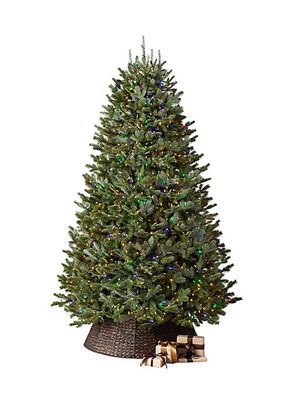 BH Fraser Fir® Narrow Flip Pre-Strung Artificial Christmas Tree