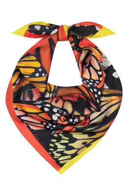 Bien Abyé Papillon Wing Scarf in Multi 