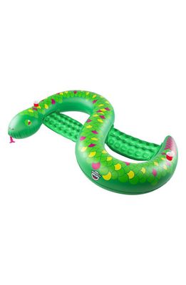bigmouth inc. Double Snake Pool Float in Multi