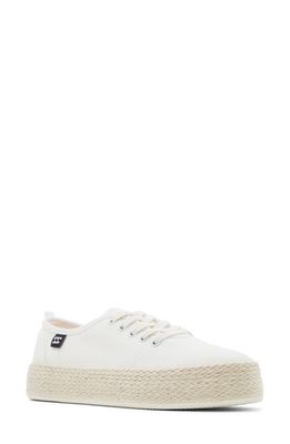 Billabong Platform Sneaker in White/White